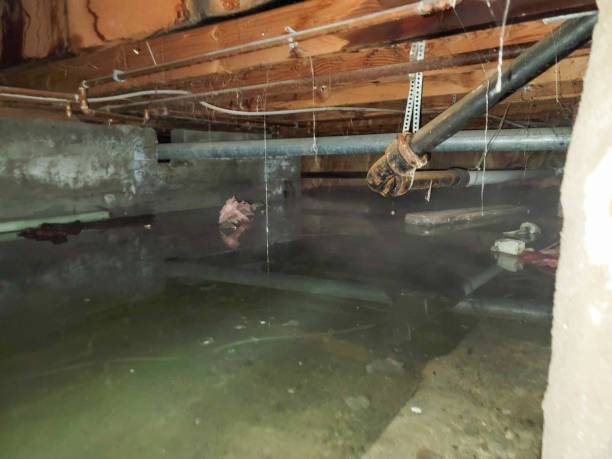 Best Basement water damage restoration  in Navy, VA