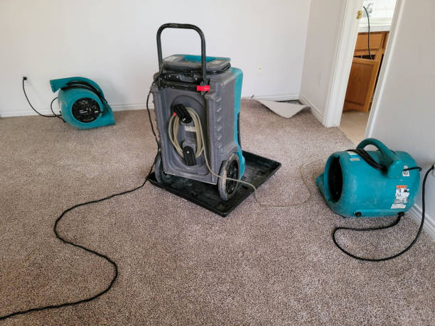 Best Water damage restoration services  in Navy, VA