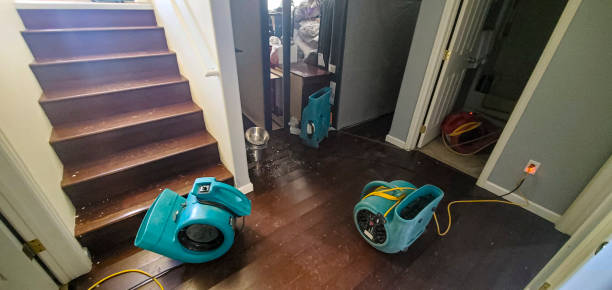 Water damage restoration insurance claims in VA