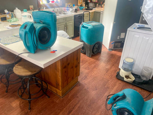 Water damage restoration experts in VA