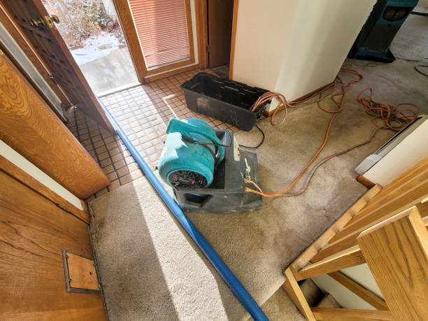 Best Commercial water damage restoration  in Navy, VA
