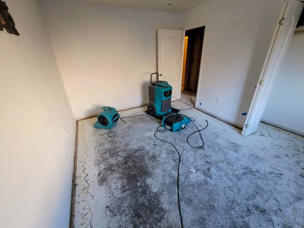 Best Fire Damage Restoration  in Navy, VA