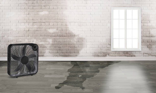 Best Water damage restoration company  in Navy, VA