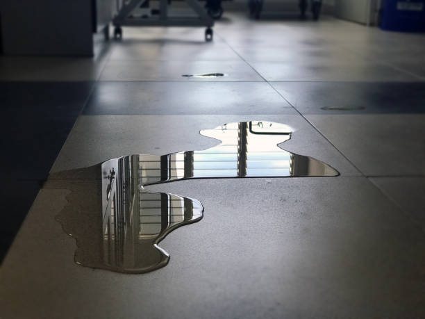 Best 24-hour water damage restoration  in Navy, VA