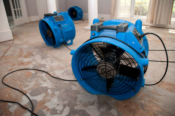 Best Water damage restoration mold remediation  in Navy, VA