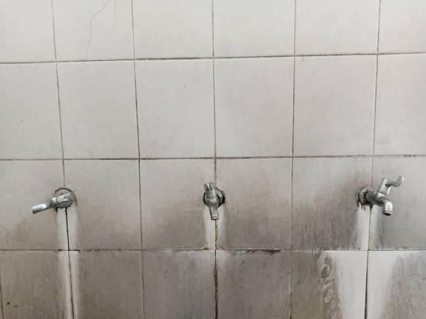 Best Flood damage cleanup  in Navy, VA