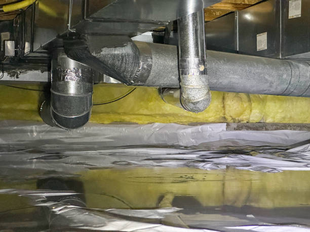 Best Professional water damage repair  in Navy, VA