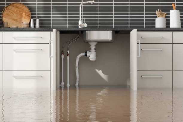 Best Professional water damage repair  in Navy, VA